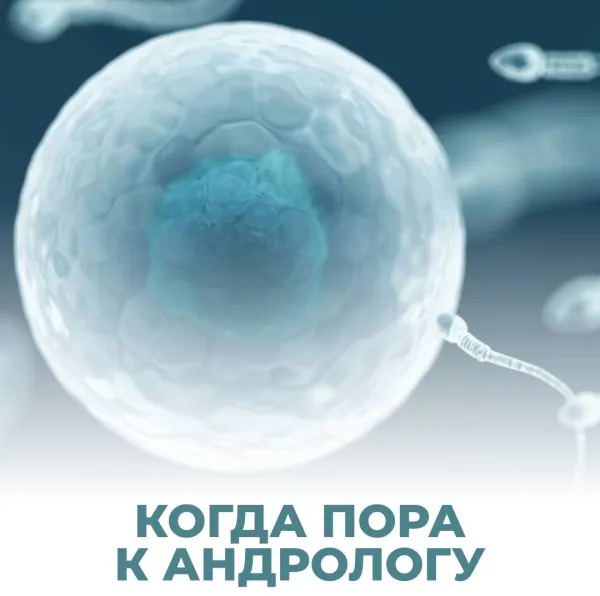 Когда нужно отправить мужа к андрологу?