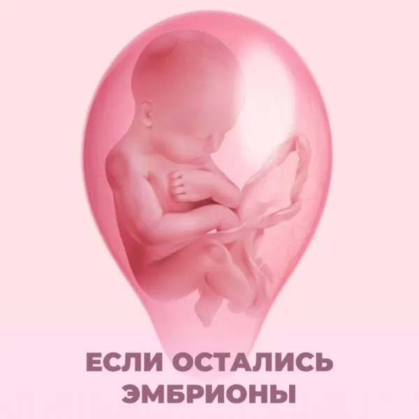 Что делать с оставшимися эмбрионами после успешного ЭКО?