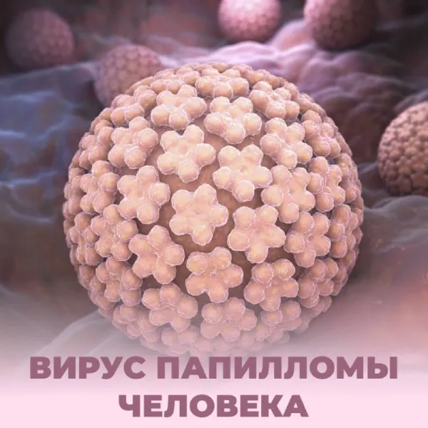 Вирус папилломы человека (ВПЧ): есть ли лечение?